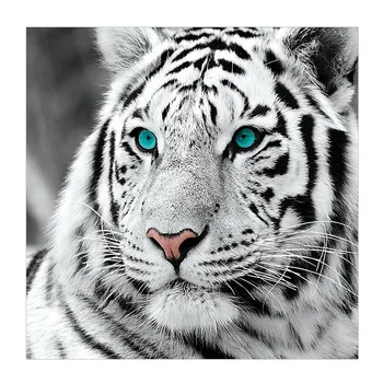5D DIY Diamante Pintura Completa Praça de Tigre Branco de Ponto de Cruz, Bordado de Diamante Animal Mosaico de imagens de Strass Decoração Presente