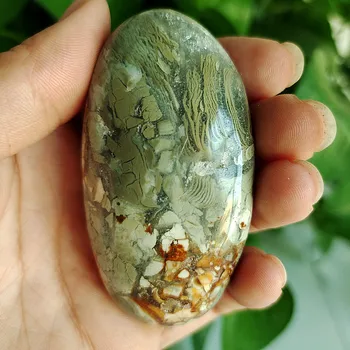 Pedra Natural Marinha, jaspe palma de cura cristais Decorativos coleção de pedras e cristais